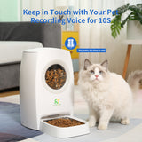 6L Automatic Cat Feeder Time Smart Pet Feeder